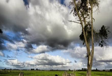 2025年打一巴掌（2025年打一巴掌要赔多少钱）